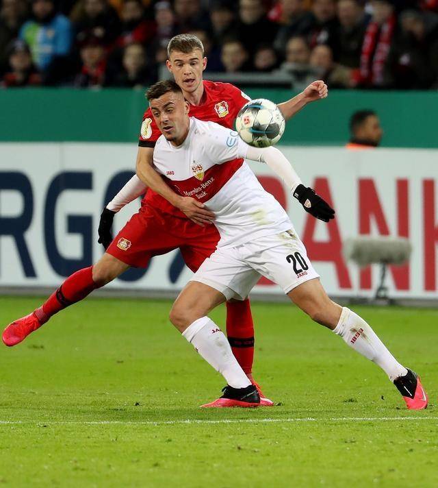 包含训练课后体能课后，菲尼克斯太阳伤情更新备战美洲杯，赛场秩序良好，数据层面出现新趋势的词条-开云新版